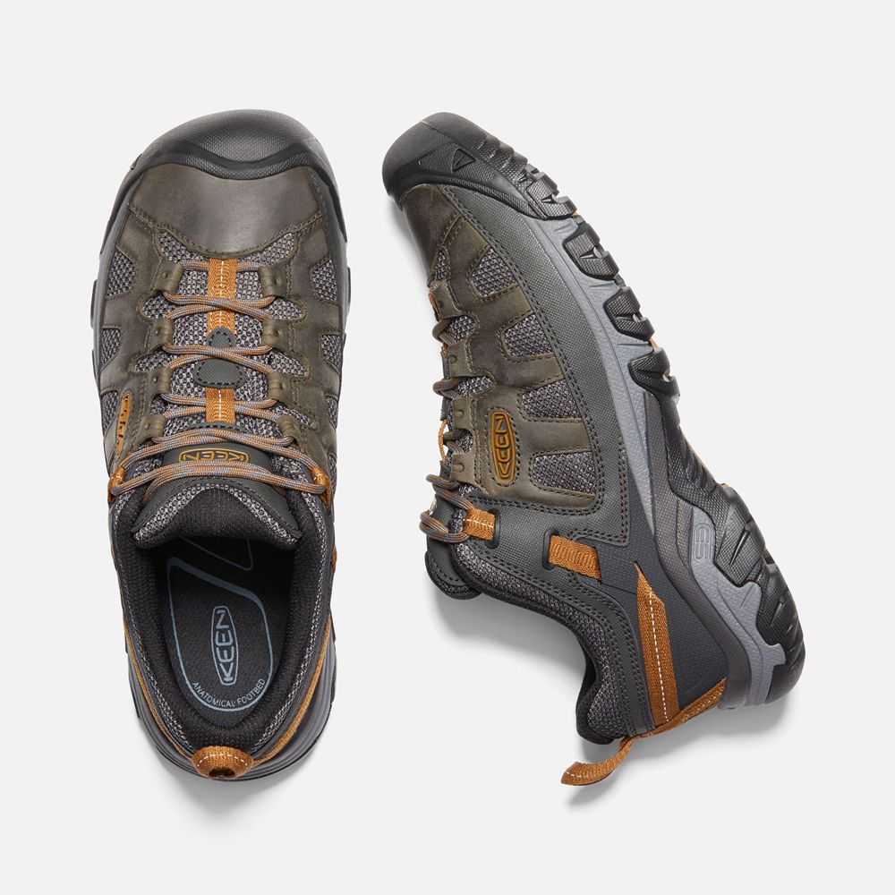 Keen Outdoor Ayakkabı Erkek Siyah Kahverengi - Targhee Vent - Türkiye GRZD92607